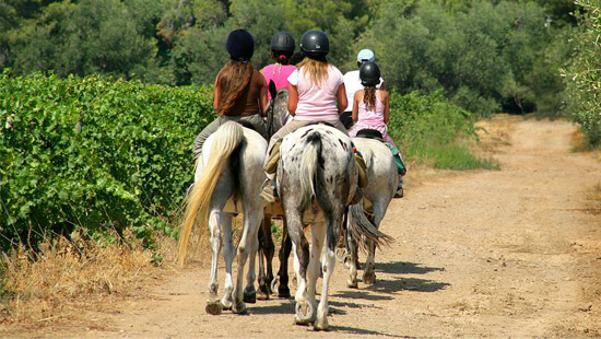 Randonnée à chavel dans les vignes, Pays de Haute Saintonge